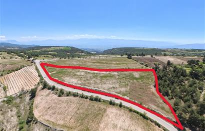 C21 LOFT'TAN PAMUKKALE AKÇAPINAR'DA 16.972M² SATILIK TARLA