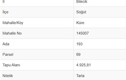 CENTURY 21 VİZYON'DAN SÖĞÜT KÜRE’DE SATILIK MEYVE BAHÇESİ