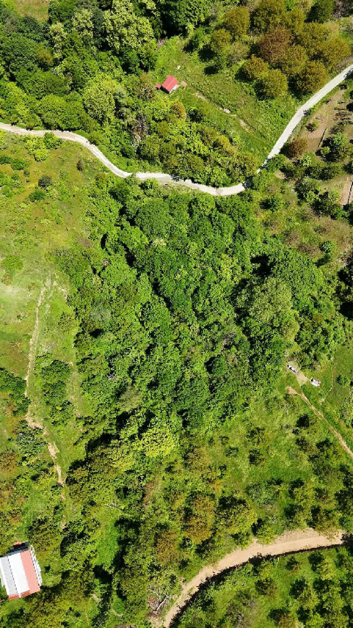 C21 Cius; Gemlik Güvenli’de Köy Gelişme Alanında Konut İmarlı Arsa