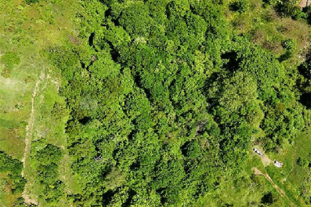 C21 Cius; Gemlik Güvenli’de Köy Gelişme Alanında Konut İmarlı Arsa