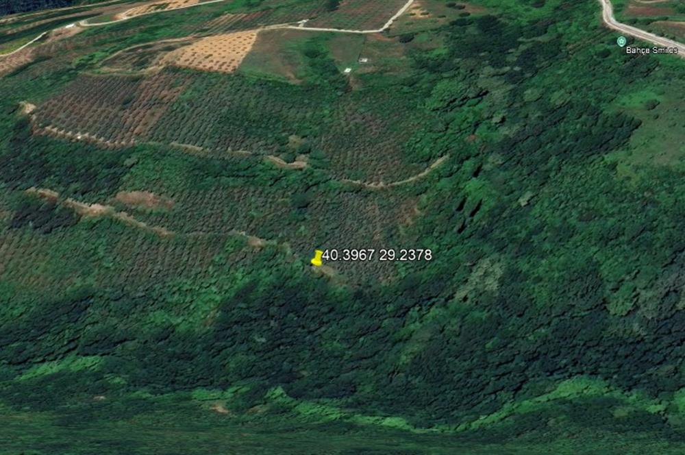 C21 Cius; Gemlik Güvenli’de Doğa İçinde 472 m² Zeytinlik