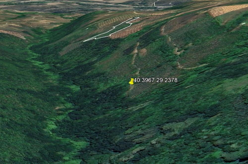 C21 Cius; Gemlik Güvenli’de Doğa İçinde 472 m² Zeytinlik