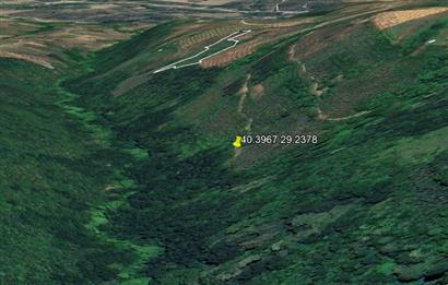 C21 Cius; Gemlik Güvenli’de Doğa İçinde 472 m² Zeytinlik