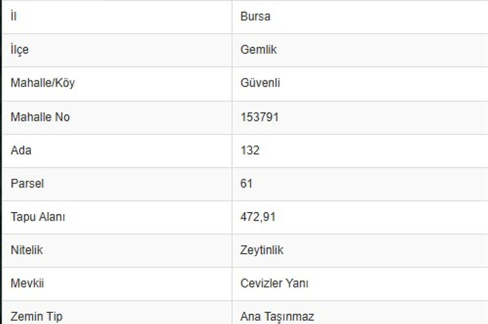 C21 Cius; Gemlik Güvenli’de Doğa İçinde 472 m² Zeytinlik