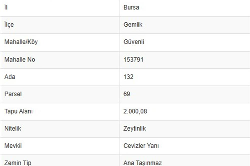 C21 Cius; Gemlik Güvenli’de 2.000 m² Zeytinlik