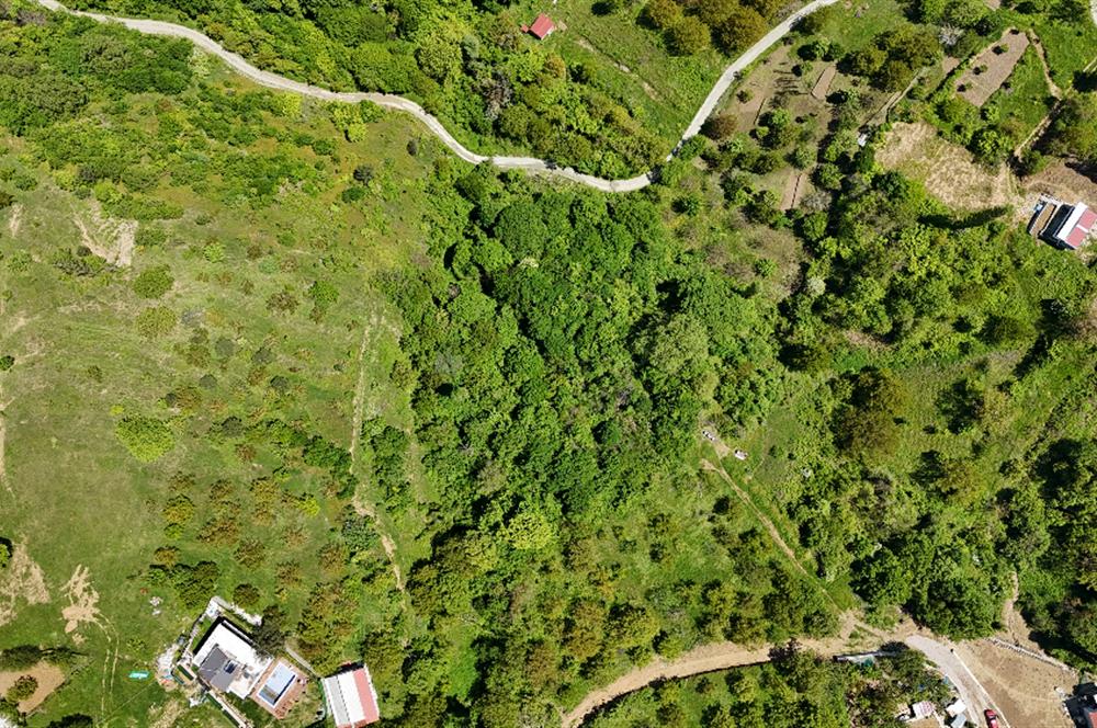 C21 Cius; Gemlik Güvenli’de Köy Gelişme Alanında Konut İmarlı Arsa