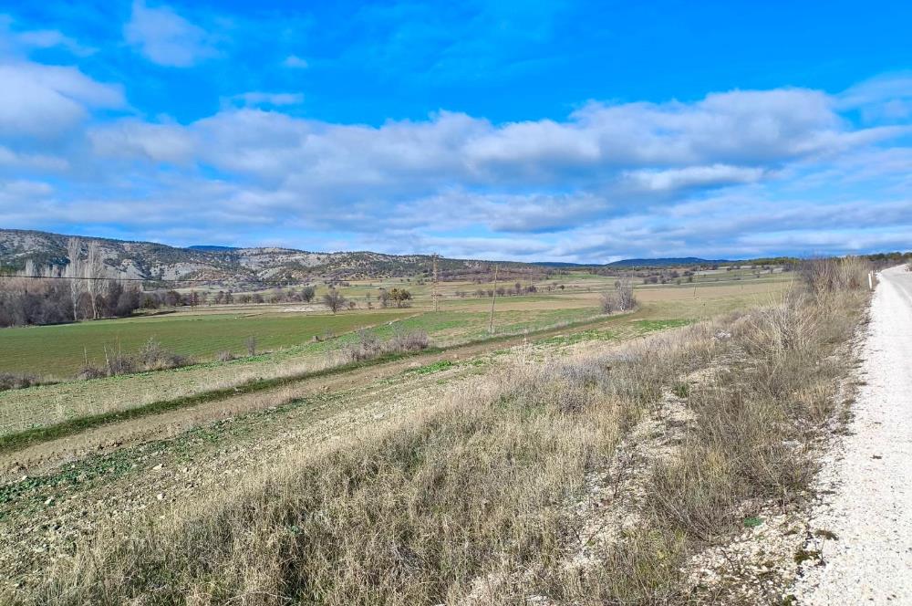 BOLU SEBEN GÜNEYCE YOLA CEPHE 2.137m² EKİLİP BİÇİLEN YATIRIMLIK