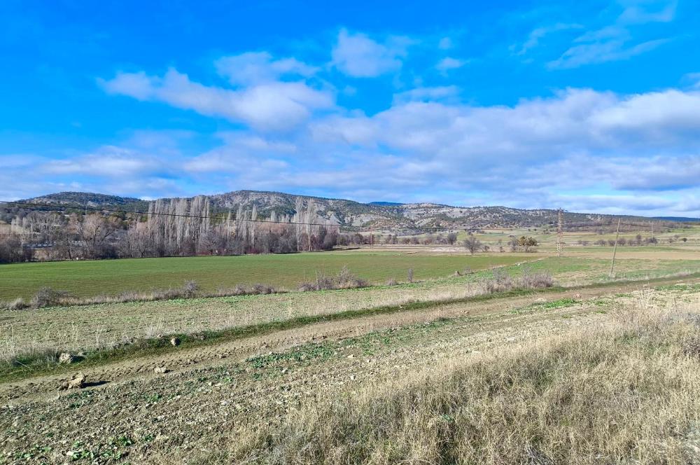 BOLU SEBEN GÜNEYCE YOLA CEPHE 2.137m² EKİLİP BİÇİLEN YATIRIMLIK