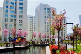 RESİM İSTANBUL EN GENİŞ TİP KİRALIK 2+1 - 1 - 34283