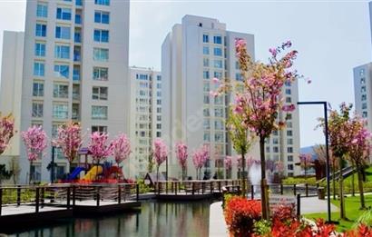 RESİM İSTANBUL EN GENİŞ TİP KİRALIK 2+1