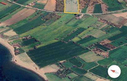 Ayvacık Kösedere Sahil Aksında Projeye Uygun 17,2 Dönüm Zeytinlik