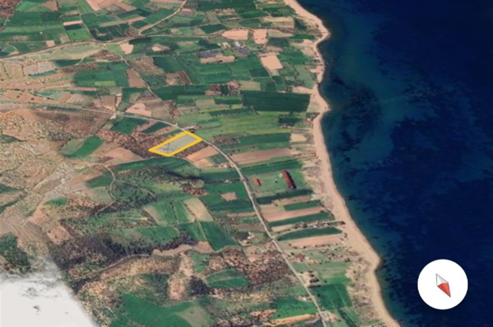 Ayvacık Kösedere Sahil Aksında Projeye Uygun 17,2 Dönüm Zeytinlik