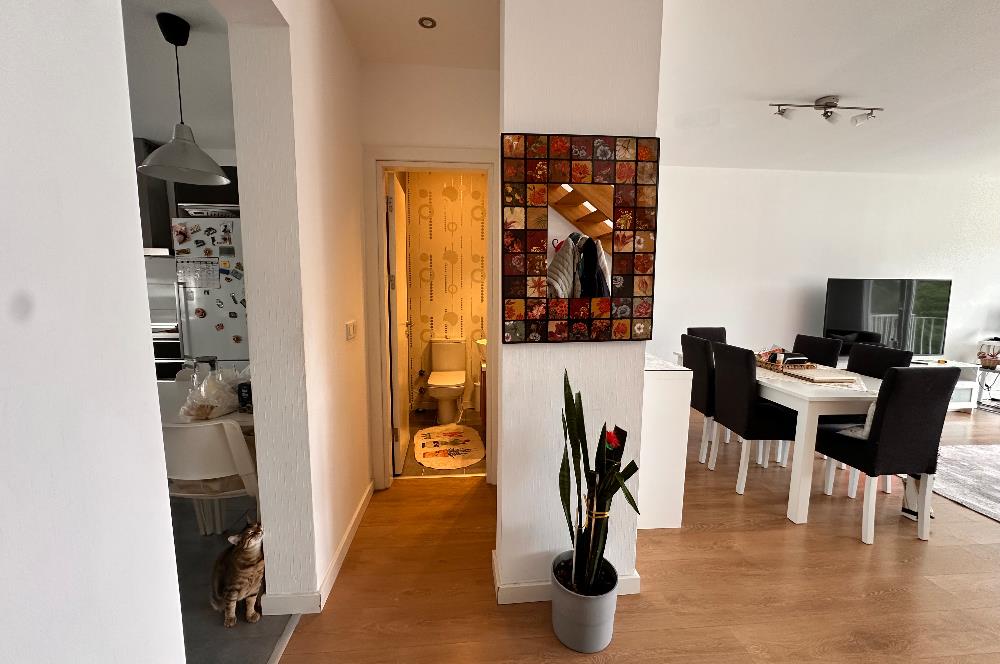 35.Sokak Sitesi Havuz/Peyzaj Manzaralı Balkonlu 3+1 Kiralık