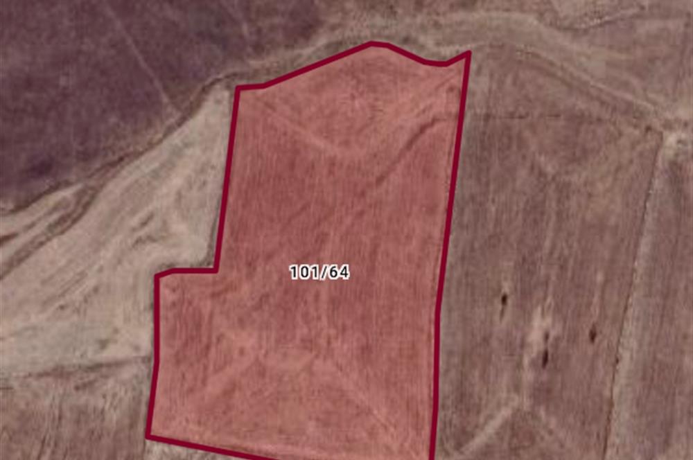 HAYMANA'DA DEV FIRSAT! 114.600 m² SATILIK TARLA
