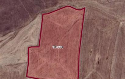 HAYMANA'DA DEV FIRSAT! 114.600 m² SATILIK TARLA