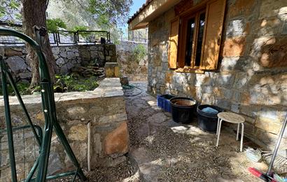 Müstakil Çift Tapu Bodrum Çamlık'ta