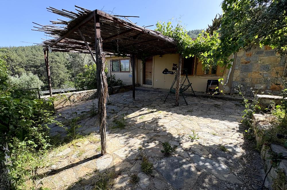Müstakil Çift Tapu Bodrum Çamlık'ta