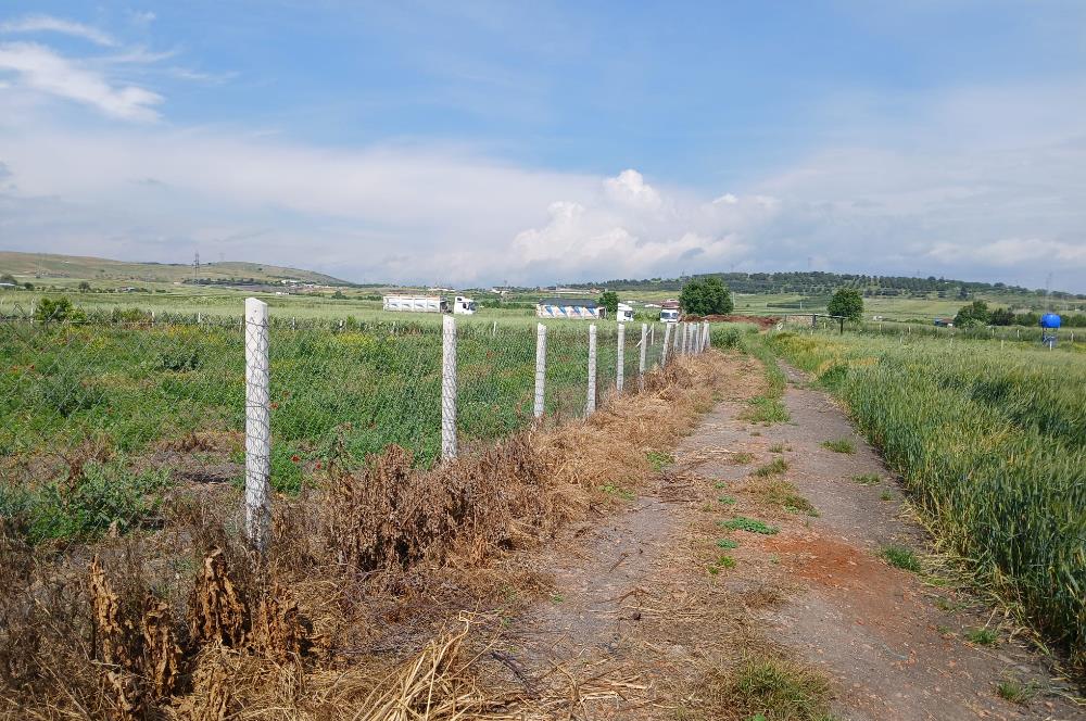 C21 LOCA' DAN ALTIEYLÜL KÖYLÜ MAHALLESİNDE 1775 m2 SATILIK TARLA