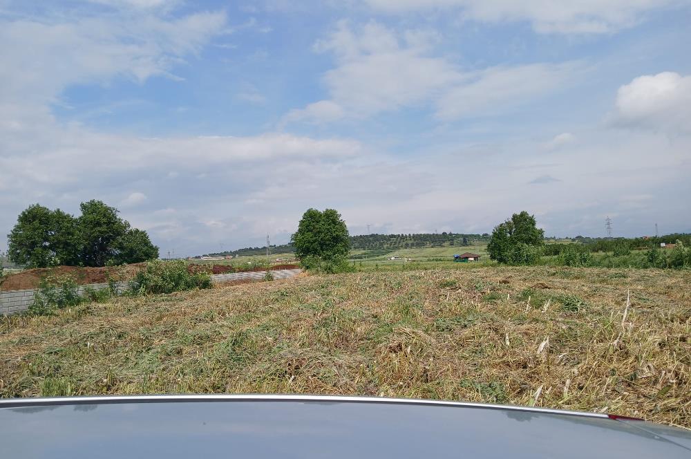 C21 LOCA' DAN ALTIEYLÜL KÖYLÜ MAHALLESİNDE 1775 m2 SATILIK TARLA