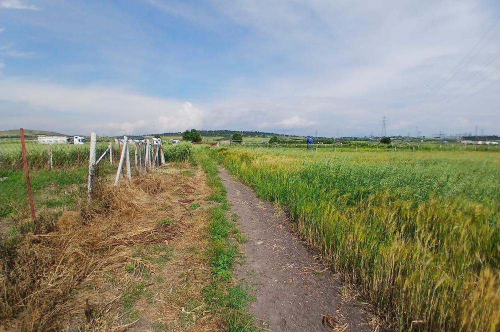 C21 LOCA' DAN ALTIEYLÜL KÖYLÜ MAHALLESİNDE 1775 m2 SATILIK TARLA