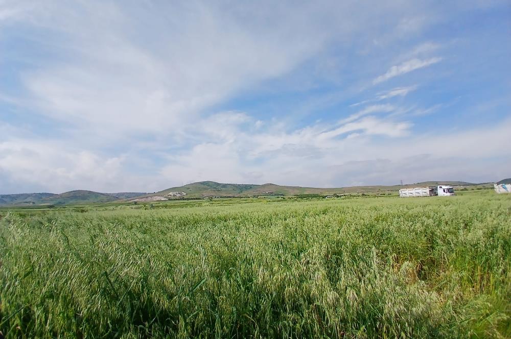 C21 LOCA' DAN ALTIEYLÜL KÖYLÜ MAHALLESİNDE 1775 m2 SATILIK TARLA