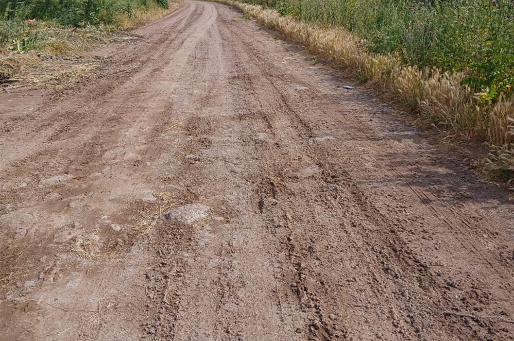C21 LOCA' DAN ALTIEYLÜL KÖYLÜ MAHALLESİNDE 1775 m2 SATILIK TARLA