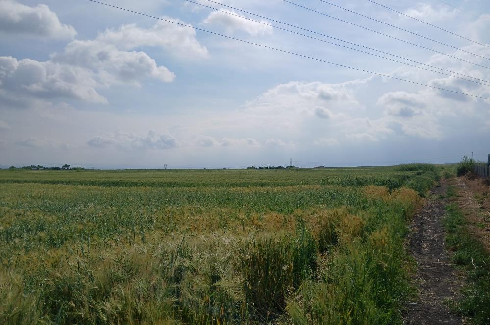 C21 LOCA' DAN ALTIEYLÜL KÖYLÜ MAHALLESİNDE 1775 m2 SATILIK TARLA