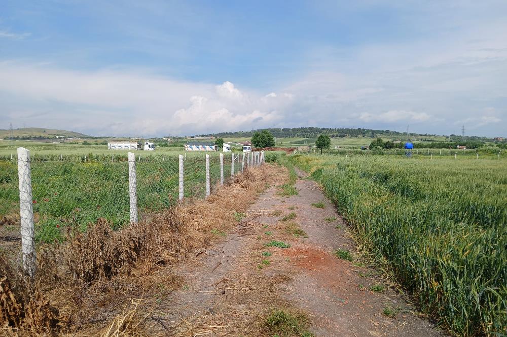 C21 LOCA' DAN ALTIEYLÜL KÖYLÜ MAHALLESİNDE 1775 m2 SATILIK TARLA