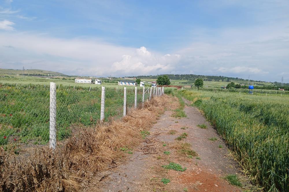 C21 LOCA' DAN ALTIEYLÜL KÖYLÜ MAHALLESİNDE 1775 m2 SATILIK TARLA
