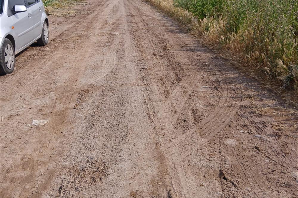C21 LOCA' DAN ALTIEYLÜL KÖYLÜ MAHALLESİNDE 1775 m2 SATILIK TARLA