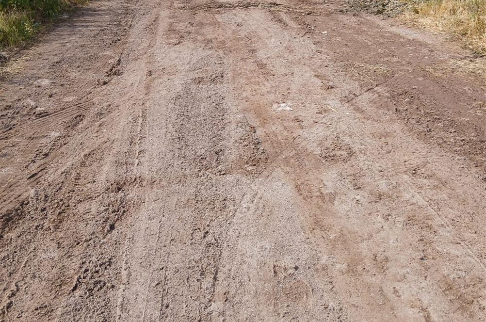 C21 LOCA' DAN ALTIEYLÜL KÖYLÜ MAHALLESİNDE 1775 m2 SATILIK TARLA