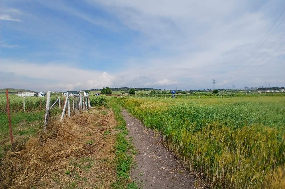 C21 LOCA' DAN ALTIEYLÜL KÖYLÜ MAHALLESİNDE 1775 m2 SATILIK TARLA