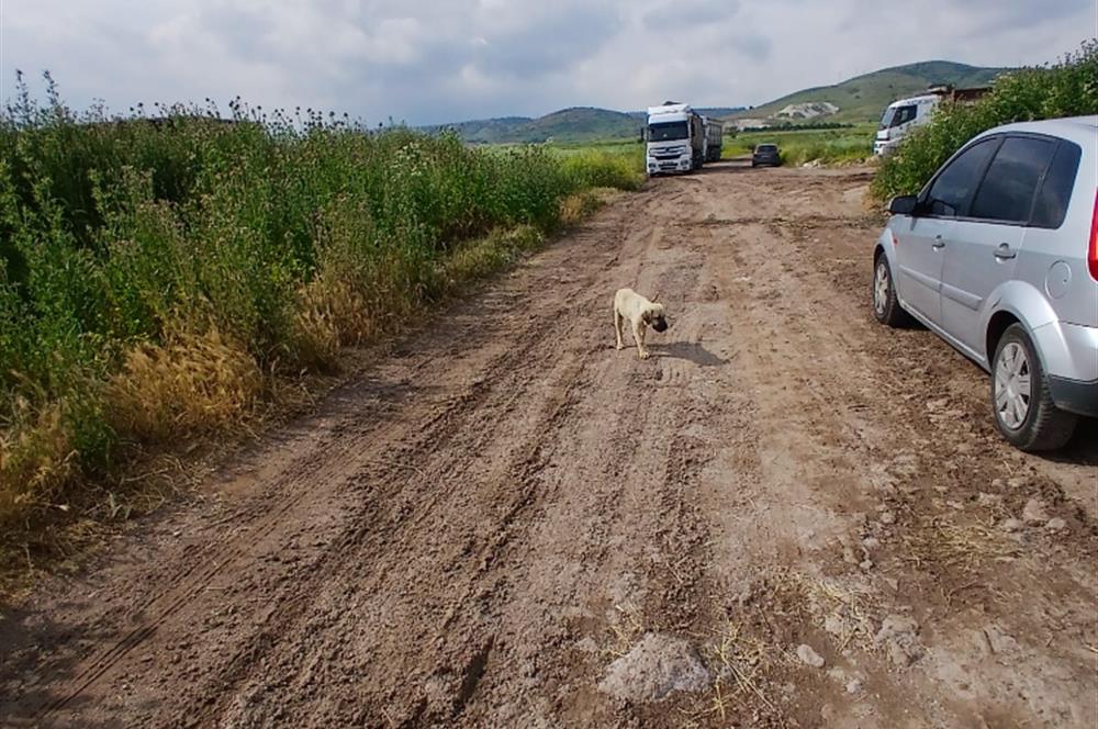 C21 LOCA' DAN ALTIEYLÜL KÖYLÜ MAHALLESİNDE 1775 m2 SATILIK TARLA