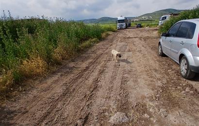 C21 LOCA' DAN ALTIEYLÜL KÖYLÜ MAHALLESİNDE 1775 m2 SATILIK TARLA