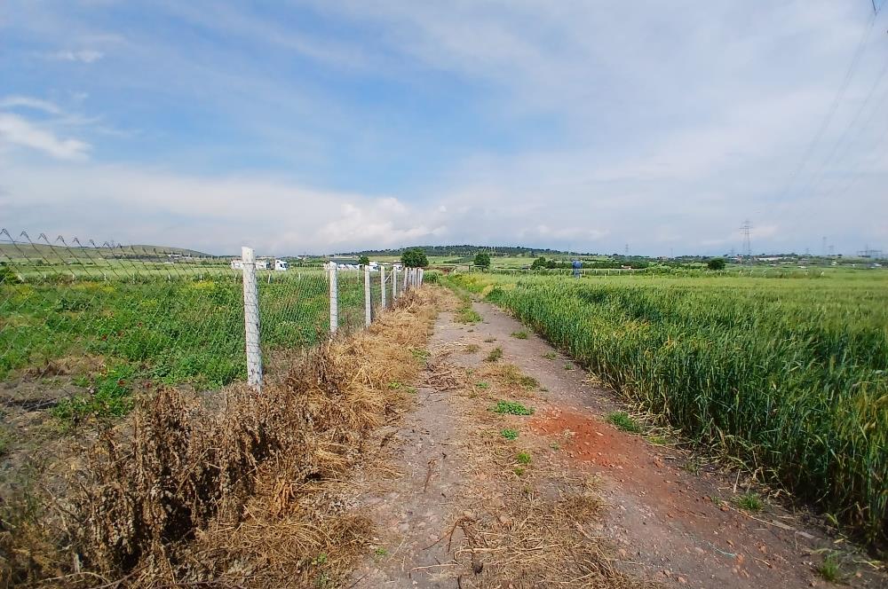 C21 LOCA' DAN ALTIEYLÜL KÖYLÜ MAHALLESİNDE 1775 m2 SATILIK TARLA