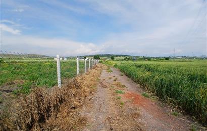 C21 LOCA' DAN ALTIEYLÜL KÖYLÜ MAHALLESİNDE 1775 m2 SATILIK TARLA