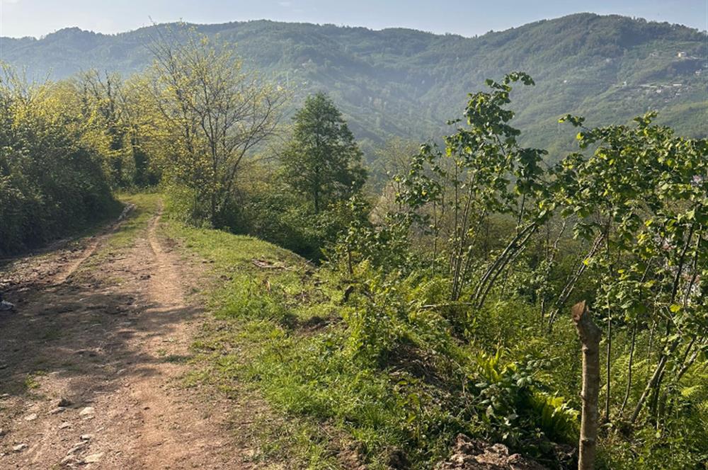 CENTURY 21'DEN PERŞEMBE KORDONTEPE’DE EŞSİZ MANZARALI ARSA FIRSATI