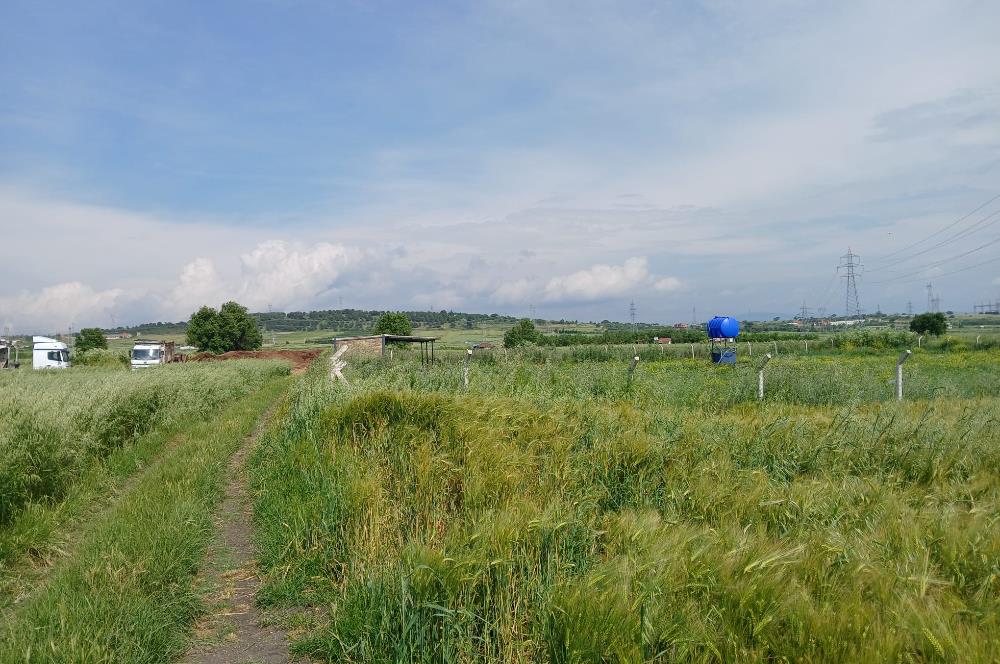 C21 LOCA' DAN ALTIEYLÜL KÖYLÜ MAHALLESİNDE 1775 m2 SATILIK TARLA
