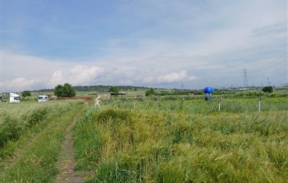 C21 LOCA' DAN ALTIEYLÜL KÖYLÜ MAHALLESİNDE 1775 m2 SATILIK TARLA