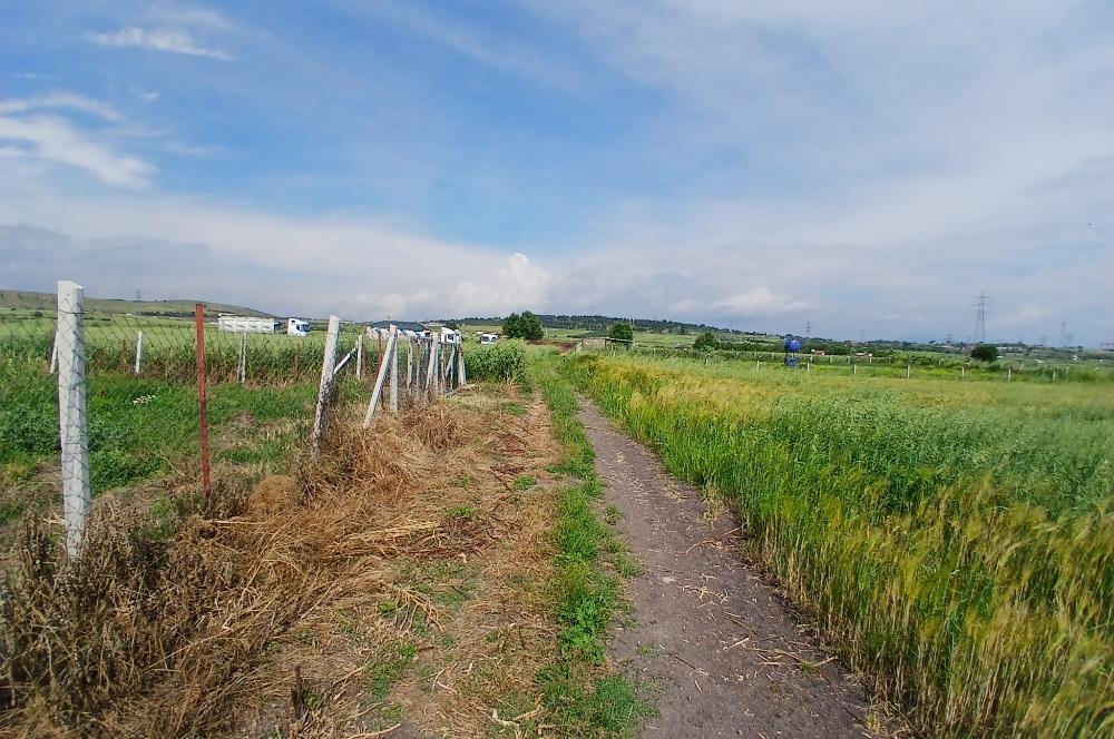 C21 LOCA' DAN ALTIEYLÜL KÖYLÜ MAHALLESİNDE 1775 m2 SATILIK TARLA