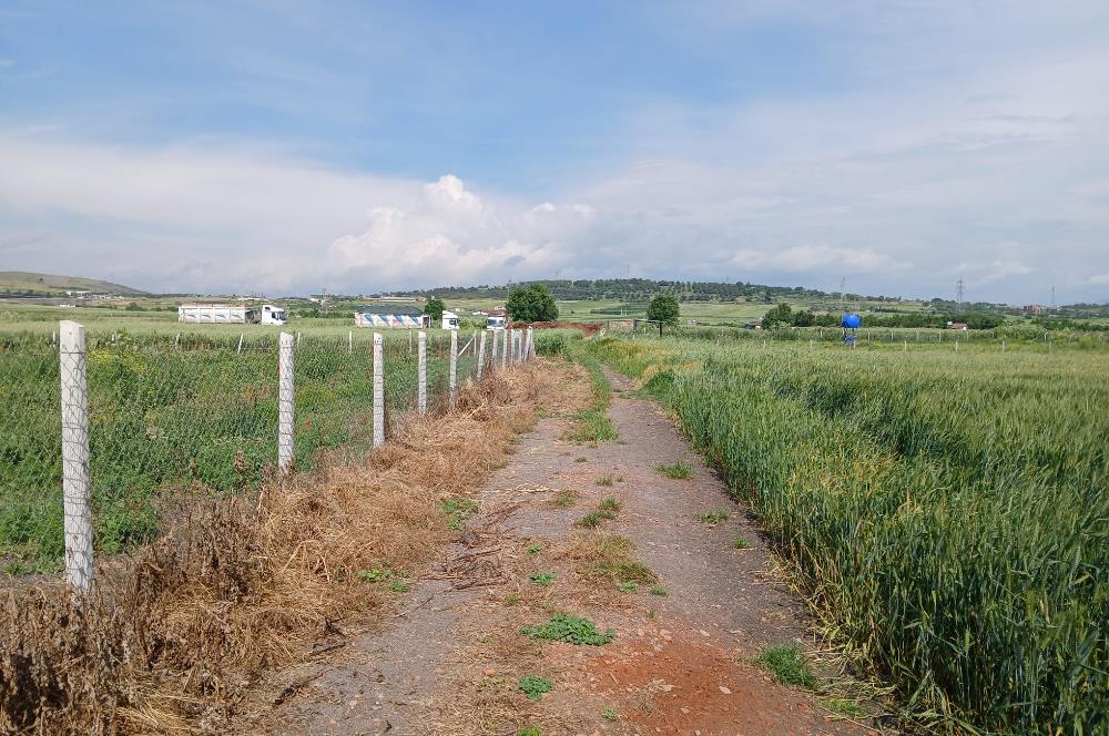 C21 LOCA' DAN ALTIEYLÜL KÖYLÜ MAHALLESİNDE 1775 m2 SATILIK TARLA