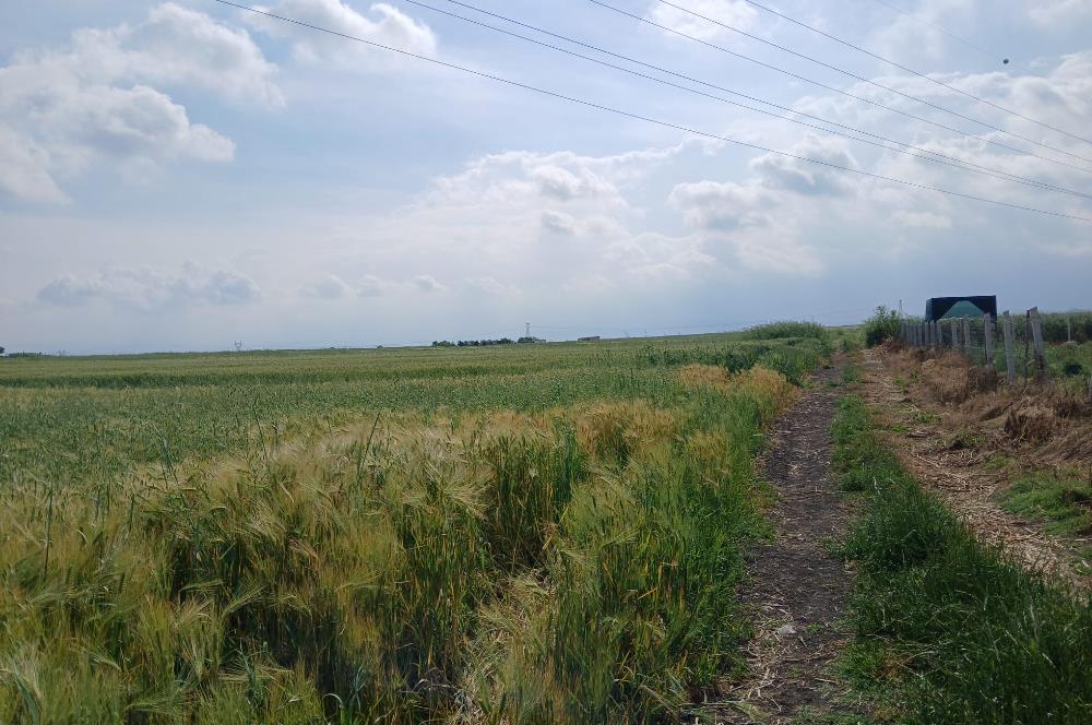 C21 LOCA' DAN ALTIEYLÜL KÖYLÜ MAHALLESİNDE 1775 m2 SATILIK TARLA