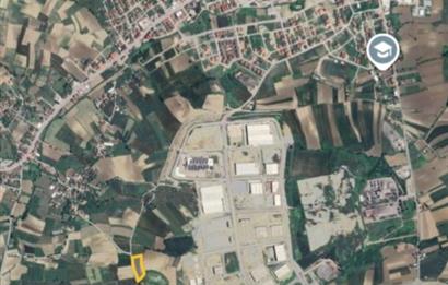 Sakarya Kaynarca Kertil'de 5235 m² Satılık Tarla