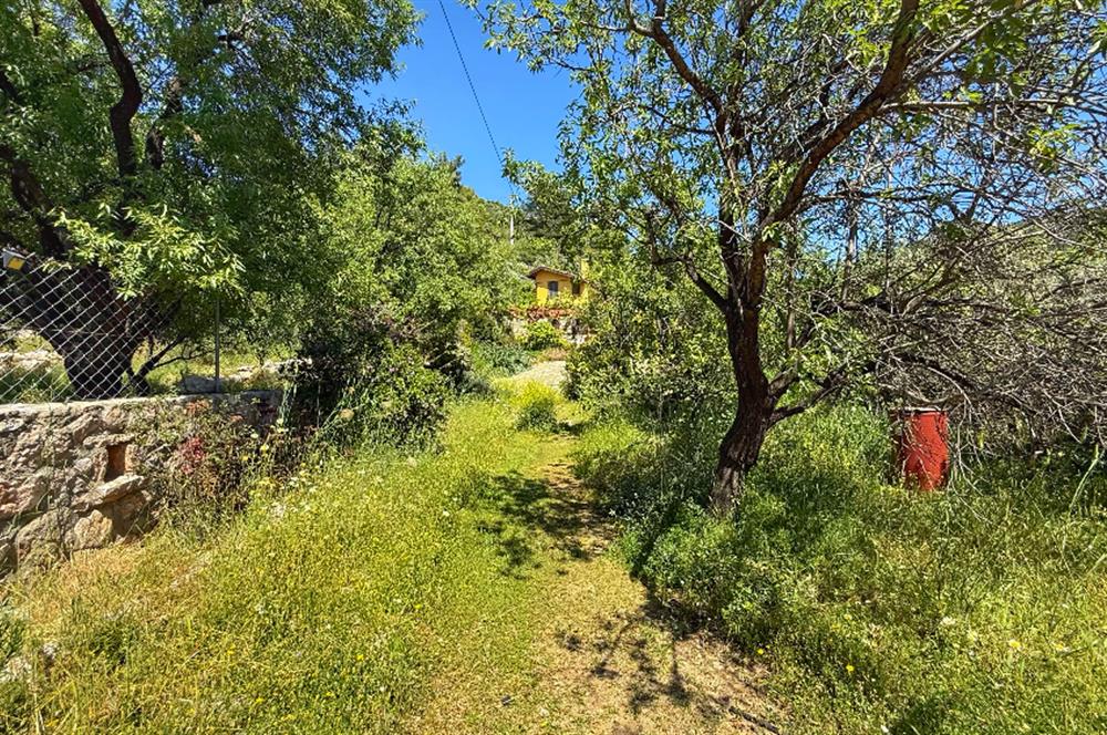 Datça Zeytincik'te Satılık 1200m² Doğa İçinde Özgün 3+1 Taş Ev