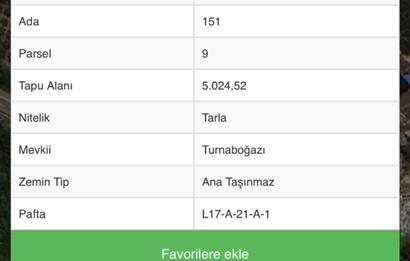 Urla Nohutalan'da Yol Cepheli Satılık Tarla 