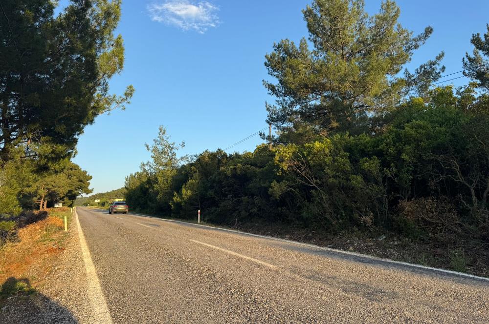 Urla Nohutalan'da Yol Cepheli Satılık Tarla 