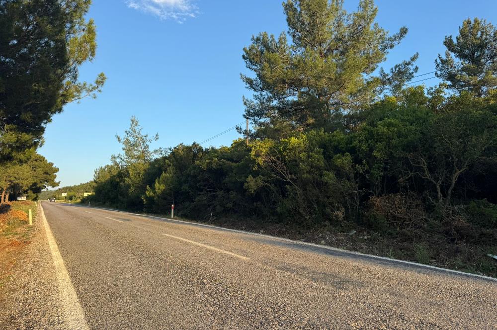 Urla Nohutalan'da Yol Cepheli Satılık Tarla 