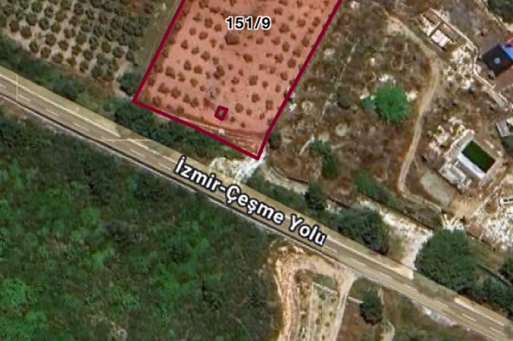 Urla Nohutalan'da Yol Cepheli Satılık Tarla 