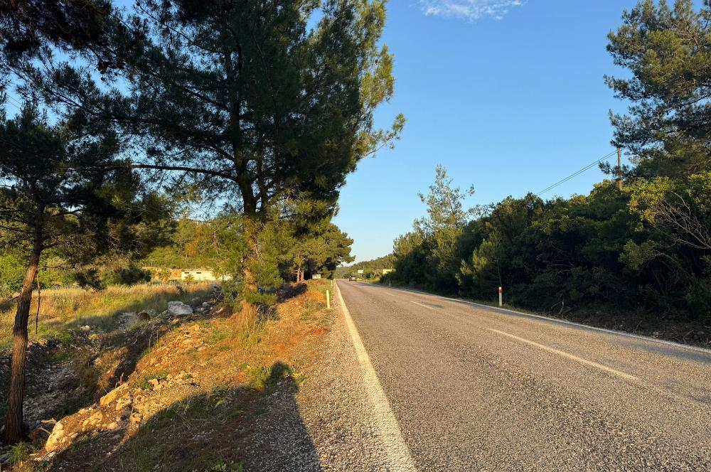 Urla Nohutalan'da Yol Cepheli Satılık Tarla 