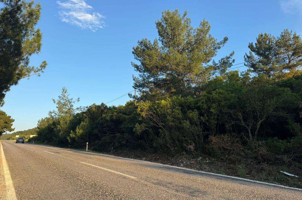 Urla Nohutalan'da Yol Cepheli Satılık Tarla 